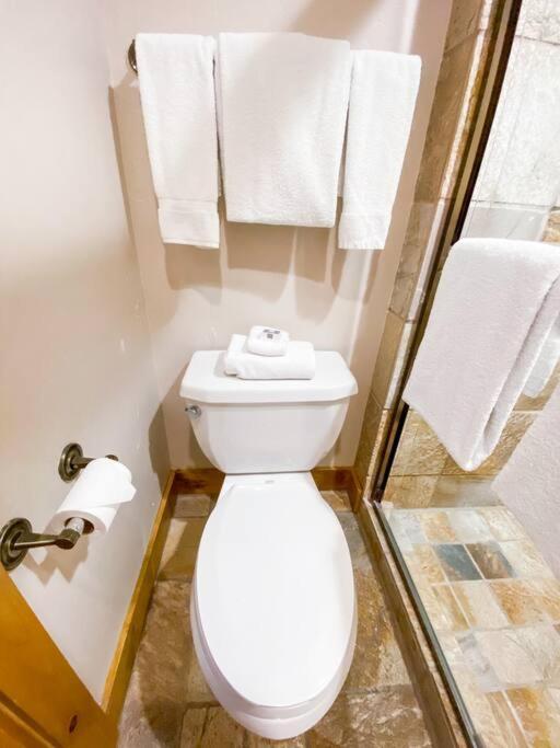 2 Bedroom Condominium - Luxury Skiin And Out Telluride Exterior photo
