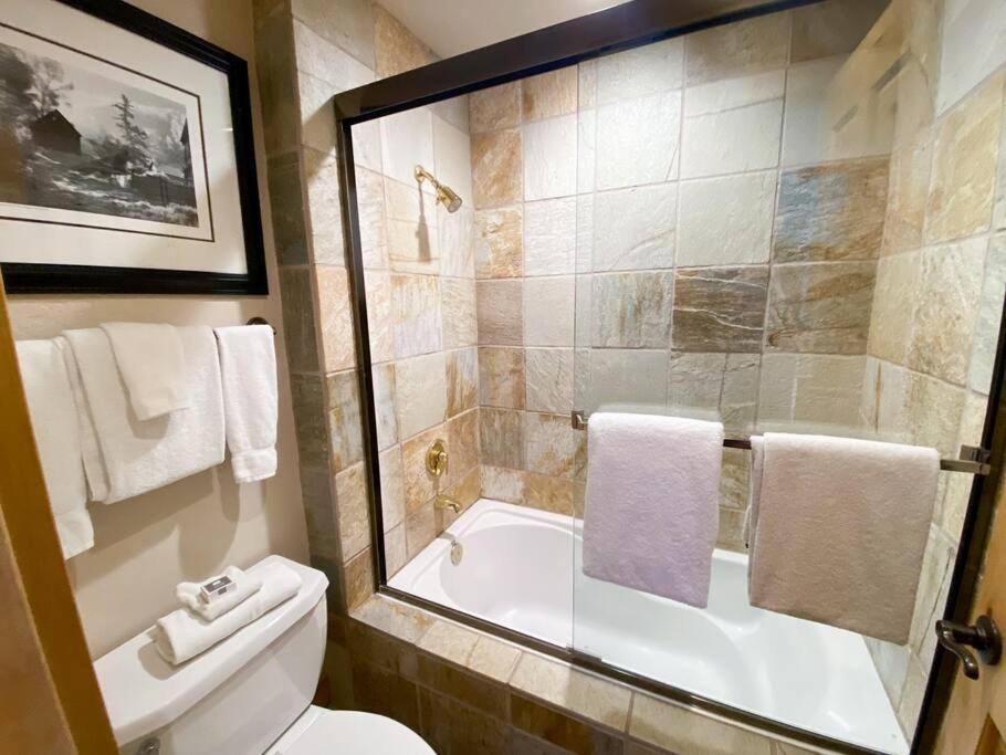 2 Bedroom Condominium - Luxury Skiin And Out Telluride Exterior photo