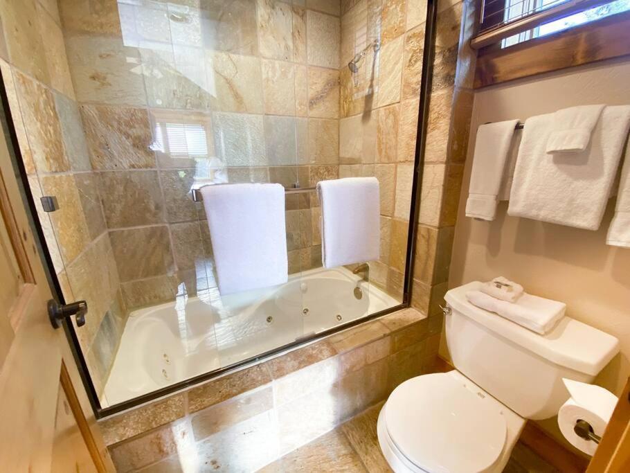 2 Bedroom Condominium - Luxury Skiin And Out Telluride Exterior photo